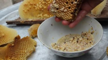Arı larvaları yemek için almaya