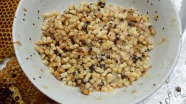 Arı larvaları yemek için almaya