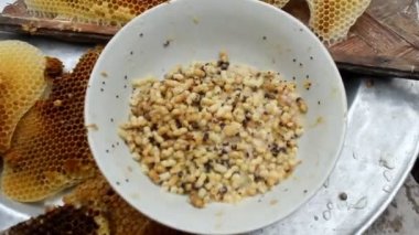 Arı larvaları yemek için almaya
