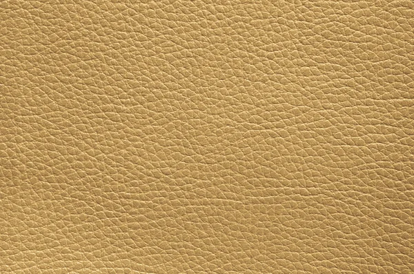 Closeup of leather texture. Stock Image