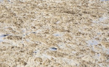 Beyaz Nil Nehri yüzeyinde köpük