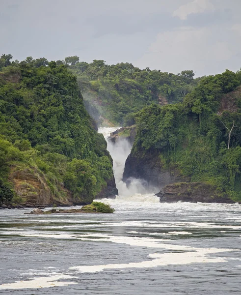 Murchison Falls Telifsiz Stok Fotoğraflar