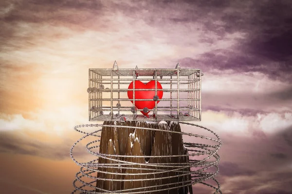 Coeur Rouge Dans Une Cage Sommet Une Montagne Coucher Soleil Images De Stock Libres De Droits