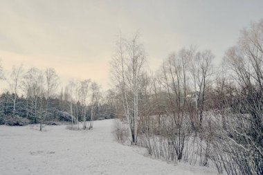 Ormana giden parkta kar manzarası                