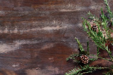 Eski ahşap dokusundan uzun bir manzara, eski püskü kahverengi kontrplak, eski ahşap masa üzerinde köknar dalı ve koni ile güzel noel kompozisyonu içinde boş bir makara.