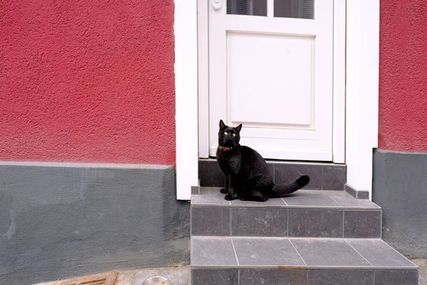 Belo Gato Preto Sentado Alpendre Uma Casa Frente Uma Porta — Fotografia de Stock