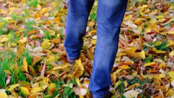 Homem Caminha Parque Outono Contra Fundo Das Árvores Conceito Estilo — Vídeo de Stock