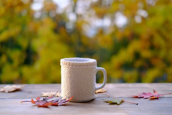 Αναψυκτικό Καφές Κούπα Φύλλα Φύλλωμα Στο Ξύλινο Τραπέζι Στον Κήπο — Φωτογραφία Αρχείου