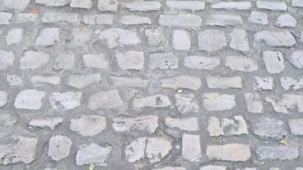 Textura Antigua Carretera Piedra Para Diseñador Fondo Gris Rugoso Concepto — Vídeo de stock