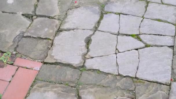 デザイナーのための古い石の道の質感 粗い灰色の背景 古代ヨーロッパの建築 旅行の概念 — ストック動画