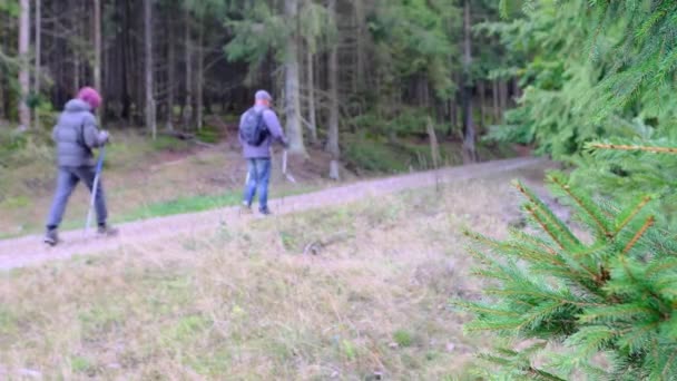 Doi Bărbați Plimbă Pădure Rucsac Spate Conceptul Protecție Naturii Echilibru — Videoclip de stoc