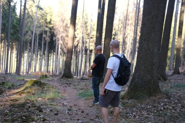 Ormanda iki adam yürüyor, sırtlarında bir sırt çantası, doğa koruma kavramı, ekolojik denge, turizm, seyahat, aktif yaşam tarzı.