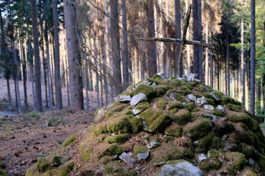 Yeşil yosunlarla kaplı taşlardan yapılmış mezar yığını, tepesinde ahşap haç, Taunus dağlarında ölen pilot için bilinmeyen eski bir mezar, antik mimari konsepti, turizm, seyahat, kale