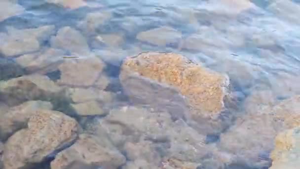 Stora Grova Stenar Botten Floden Klart Vatten Något Svängande Med — Stockvideo