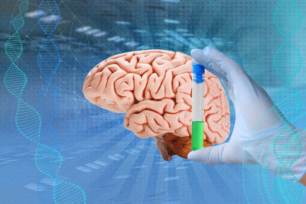 врач, ученый изучает человеческий мозг, концепцию медицинского здоровья, интеллектуальные возможности, изучает деятельность коры головного мозга, психику и сознание