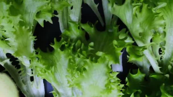生の緑の野菜ブリュッセルの芽 アボカド オリーブ 黒で隔離された背景の果物テキストのための場所 自家製の食べ物を食欲をそそる料理の概念 健康的な食べ物 — ストック動画