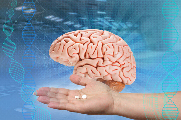 Рука врача протягивает лекарства, модель человеческого мозга, концепцию медицинского здоровья, интеллектуальную инвалидность, изучение деятельности коры головного мозга, психики и сознания