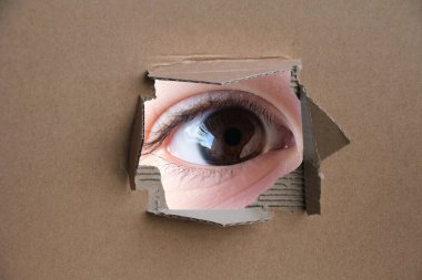Çocuğun yüzünün bir parçası, insan gözü kartondaki bir delikten dışarı bakıyor, gözetleme, gözetleme, izleme, izleme konsepti
