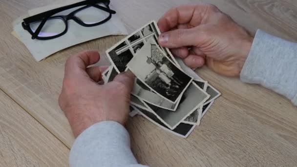 1950年代の古い写真を手にした男性の手 木製のテーブルの上に古い写真のスタック 系譜の概念 家族の木 祖先の記憶 — ストック動画