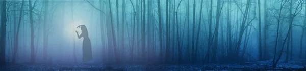 Panorama Della Nebbia Forestale Nella Foresta Invernale Misterioso Paesaggio Mistico — Foto Stock