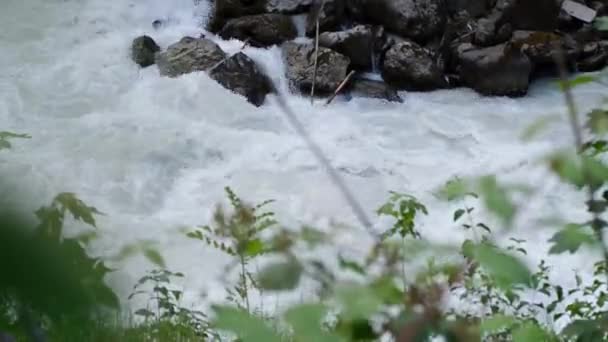 Powerful Stream Clean Water Quickly Flows Mountain River Splashes Scatter — Stock Video