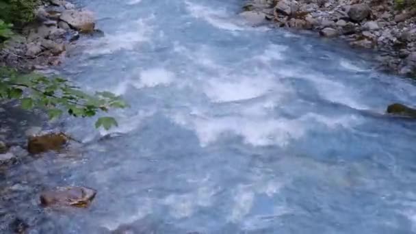 Potężny Strumień Czystej Wody Szybko Płynie Wzdłuż Górskiej Rzeki Rozpryski — Wideo stockowe