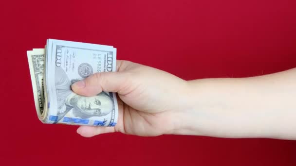 Female Hands Hold Dollars Currency Banknotes Red Background Counting Bundle — Stock Video