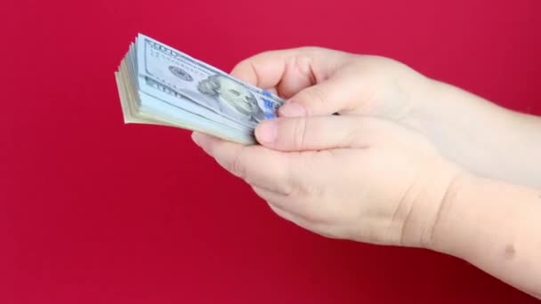 Kvinnliga Händer Håller Dollar Amerikanska Sedlar Valuta Röd Bakgrund Räkna — Stockvideo