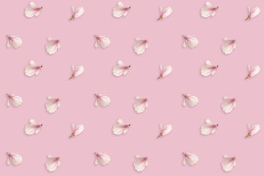 Kusursuz bir arkaplan, pembe manolya tomurcuklu doğal desen, bahar çiçekleri, tasarımcının temeli, kumaş için doğal uyanış konsepti, duvar kağıdı.