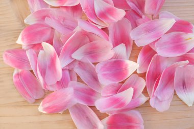 Narin pembe çiçek yaprakları kaotik bir şekilde açık doğal ahşap masanın üzerinde yatar. Tasarımcı için arka plan, bahar, yaz ve mevsimlerin değişmesi kavramı.