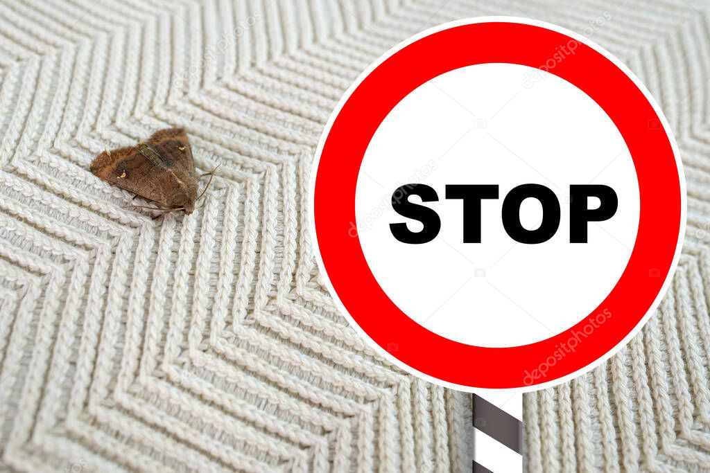 brown insect, Clothes moth, sitting on a white woolen sweater, red STOP sign, selective focus, pest concept, destruction and damage to clothes in the house