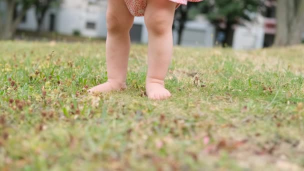 Gadis Kecil Bayi Dalam Gaun Dan Panama Tidak Berjalan Rumput — Stok Video