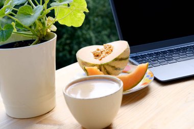 Yaz bahçesindeki masada açık dizüstü bilgisayar, kapuçino, tabakta kavun, vites küçültme, programcı, blogger konsepti var.