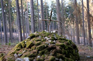 Yeşil yosunlarla kaplı bir mezar yığını, tepesinde ahşap haç, Taunus dağlarında ölen pilot için bilinmeyen eski bir mezar, antik mimari konsepti, turizm, seyahat, kale