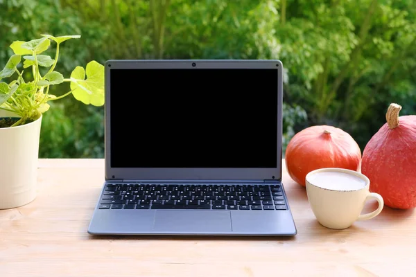 on table in summer garden there is open laptop, computer with blank screen, black display for designer, cup of cappuccino, pumpkin, concept of downshifter\'s workplace, blogger