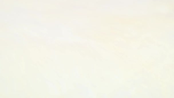 Женская Рука Гладильная Натуральный Мех Овцы Белая Текстура Овчины Мягкими — стоковое видео