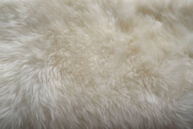 Yumuşak saçlı beyaz koyun derisi dokusu, tasarımcı için doğal kürk, işleme konsepti, kürkçü ürünleri üretimi, stres atma, psikolojik stres