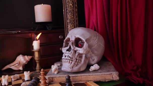 Barok Tarzı Vanitas Alegorik Bir Hayat Bir Kitapta Bir Kafatası — Stok video