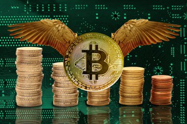 Kanatlı bitcoin e-kripto para birimi, yeşil elektronik baskı devre kartı, teknoloji ve bilgisayar sistemleri için mikro elektronik bileşenleri olan PCB, modern teknoloji konsepti, küresel iş