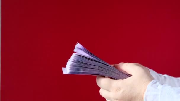 Female Hands Hold Paper 500 Euro Banknotes Red Background Counting — Stock Video