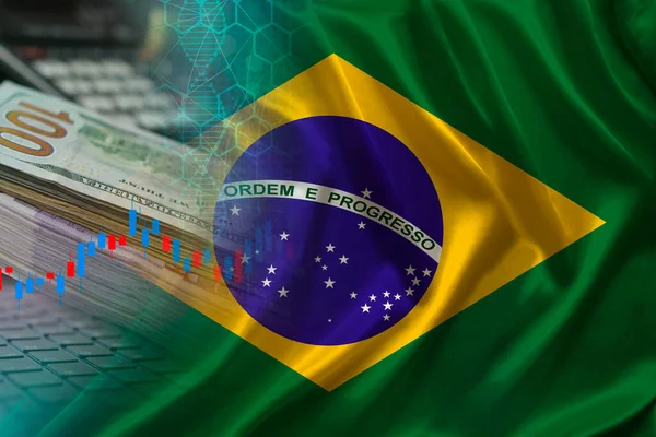 Brezilya Ulusal Bayrağı Ipek Dolar Banknotları Bilgisayar Borsada Küresel Ticaret — Stok fotoğraf