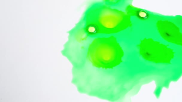 Manchas Abstractas Pintura Verde Extendidas Sobre Una Superficie Blanca Dibujo — Vídeo de stock