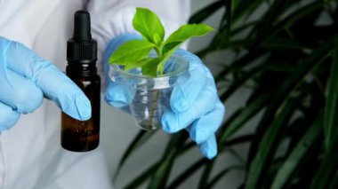 Kadın bilim adamı, eczacı bitkilerden yeni bir ilaç geliştiriyor, kimyasal laboratuvarda biyolojik olarak aktif maddeler, konsept bilim, genetik mühendisliği, doğal tıp, farmakoloji