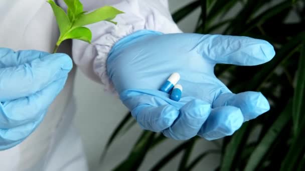 Kobieta Naukowiec Farmaceuta Opracowuje Nowy Lek Roślin Substancji Biologicznie Czynnych — Wideo stockowe