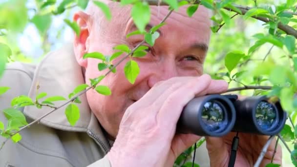 Старик Детектив Частный Детектив Просматривает Черный Бинокль Парке Лесу Шпионы — стоковое видео