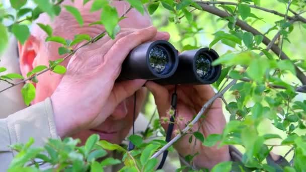 Old Man Detective Private Investigator Looks Black Binoculars Park Forest — Stock video