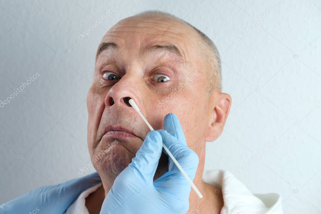 male doctor in gloves takes with swab sample from nose for analysis, rapid nasal test covid-19, detection of viral disease, police investigation, determine paternity, medical examination, coronavirus