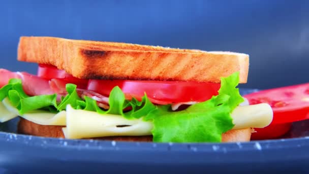 Close Appetizing Sandwich Ripe Tomato Slices Green Salad Cheese Ham — Stock Video