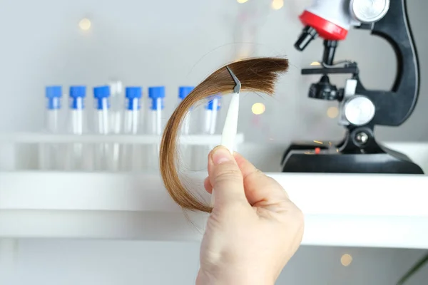 Laboratory Assistant Examines Hair Sample Curls Package Research Genetic Research — Stock Photo, Image
