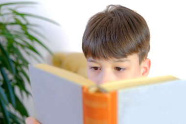 Çocuk, sarı tişörtlü çocuk evde oturuyor, kalın bir kağıt kitap okuyor, okul ödevlerinden yorulma konsepti, bir sürü ev dersi, eğitim konsepti, kurgu.